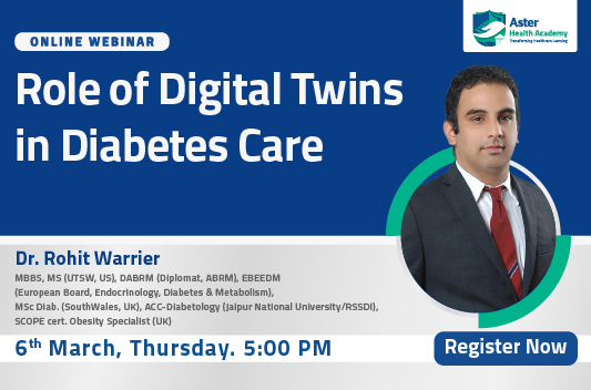 Role of Digital Twins in Diabetes Care